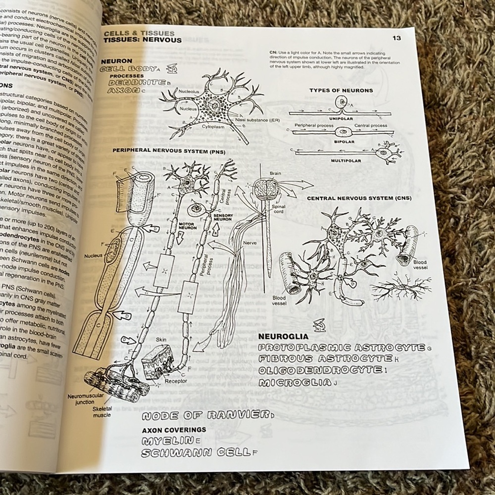 Coloring Book - Picture 2 of 4